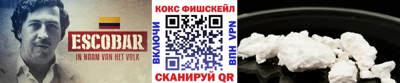 Cocaine FishScale  где можно купить   Вязьма 
