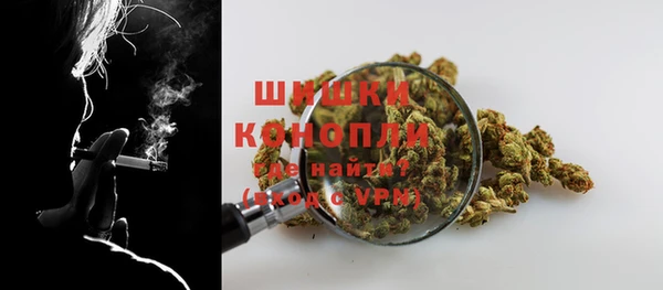 скорость Пестово