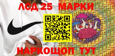 стаф Берёзовский