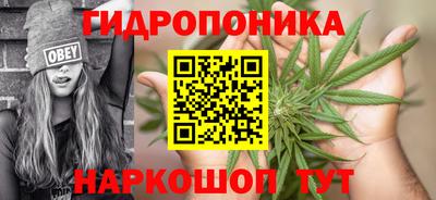 Альфа ПВП Беслан