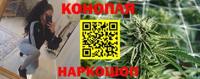 прущие крисы Гагарин