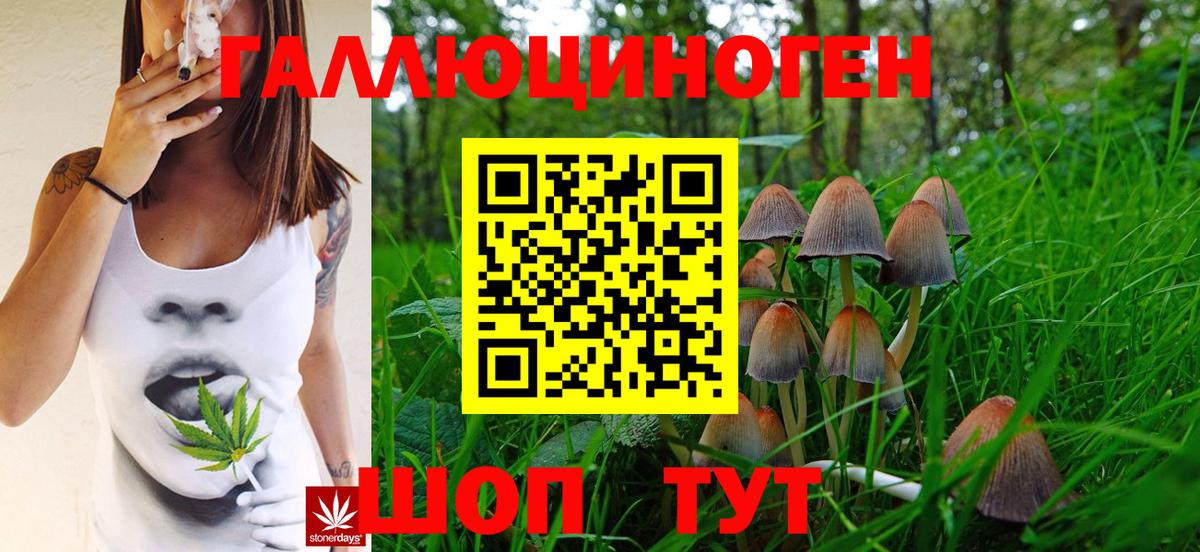 Галлюциногенные грибы Cubensis Вязьма
