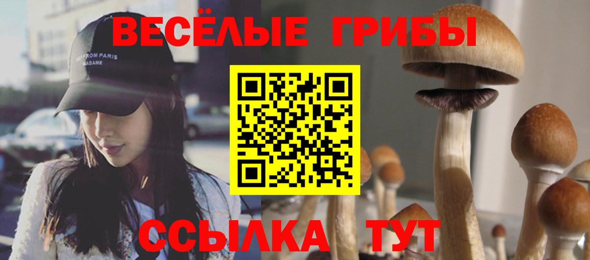 Псилоцибиновые грибы Magic Shrooms  Вязьма 